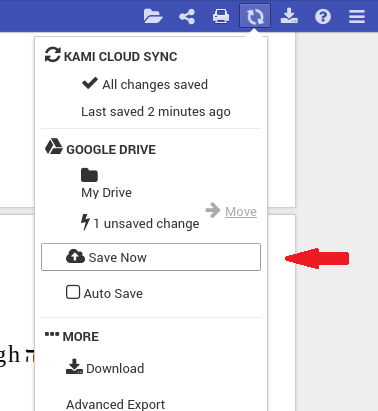 Kami Save Now 